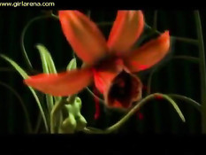 Магический цветок обвивает и трахает в киску грудастую 3D девку