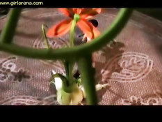 Магический цветок обвивает и трахает в киску грудастую 3D девку