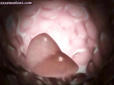 3D девчонка дрочит член большими сиськами и даёт полизать попу