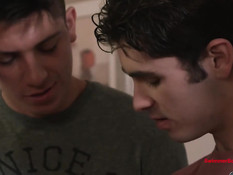 Голубые приятели дрочили члены просматривая порно и трахались