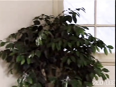 Two hot butts get cunted by one dick