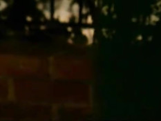 On set with Tera Patrick 