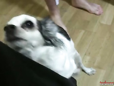 Лицо грудастой испанской девки залили спермой на буккаке оргии