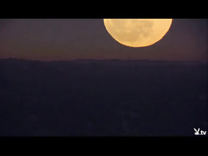 Семейные американские пары желают участвовать в свинг оргиях