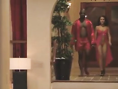 На телеканале Playboy TV проходит секс шоу с участием свингеров