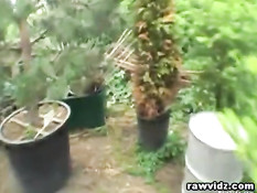 Игривая молодая брюнеточка ебётся с приезжим мужчиной в парке