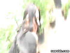 Игривая молодая брюнеточка ебётся с приезжим мужчиной в парке