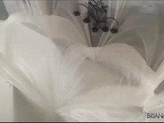 Грудастая брюнетка Briana Lee показывает своё сексуальное тело