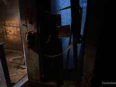 Лысый здоровяк связал и отодрал в бритую пизду молодую шалаву