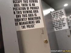 Девка в чёрных колготках Abella Danger отсосала просунутый член