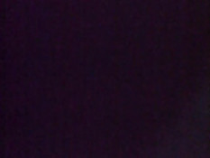 Светловолосая девка в очках с наслаждением сосёт длинный член