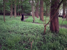 Властолюбивый мужчина отхлестал привязанную в лесу девчонку