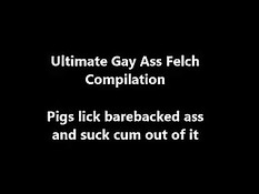 Гомосексуальные парни вылизывают сперму вытекающую из ануса