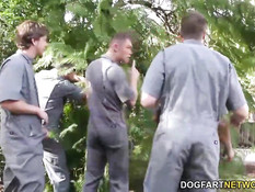 Симпатичная смуглянка Ashley Pink делает минет похотливым парням