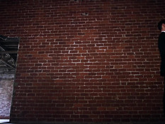 Блондинку с интимной стрижкой Jillian Janson отымели двое парней