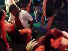 Развратные молодые девушки трахаются с мужчинами на дискотеке