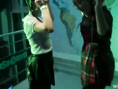 Под громкую музыку посетители занимаются сексом в ночном клубе