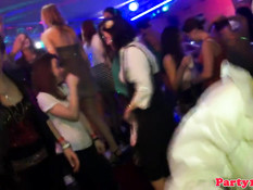 Девки дрочат стриптизёрам хуи на одной из европейских вечеринок