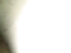 Пузатый гей в презервативе засадил член в очко своему приятелю