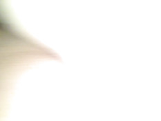 Пузатый гей в презервативе засадил член в очко своему приятелю