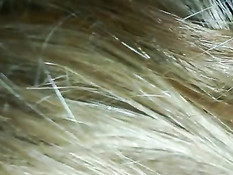 Латиноамериканская девка сосёт хуй, а парень снимает на телефон