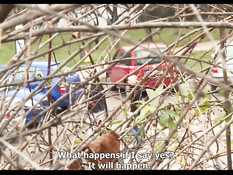 Блондинка снимает на улице парня и занимается сексом в кустиках