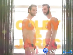 Небритый гей страстно целовал приятеля на диване и отсасывал хуй