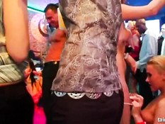 Развратные девки наслаждаются куннилингусом на секс вечеринке