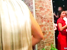 Развратные девки наслаждаются куннилингусом на секс вечеринке