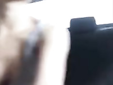 Молодая сучка любит мастурбировать на заднем сиденье в машине