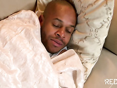 Три ненасытные сучки высасывают у чёрного бойфренда всю сперму