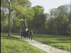 Винтажное порно на тему секса во времена средневековой Франции