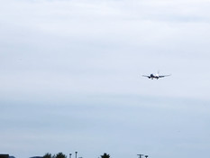 Сисястая лесбиянка Reena Sky ебёт подругу блондинку Dahlia Sky