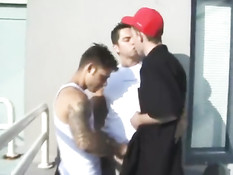 Трое молодых голубых приятелей занимаются любовью в квартире