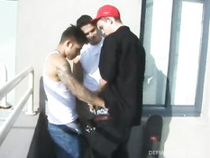 Трое молодых голубых приятелей занимаются любовью в квартире