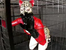 Выпустили из клетки и оттрахали рабыню в латексе Lucy Summers