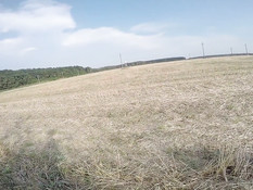 Девчонка в очках на поле дрочит хуй парню и даёт отыметь в киску