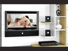 Любительница с тёмными волосами смотрит порнуху и мастурбирует