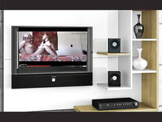 Любительница с тёмными волосами смотрит порнуху и мастурбирует