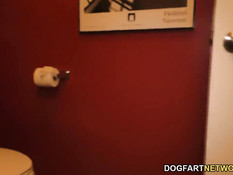 Похотливая соска Gabriella Paltrova отсасывает хуи у чёрных ребят