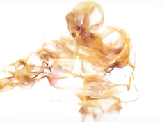 Соблазнительная брюнетка Dillion Harper разделась и сделала минет