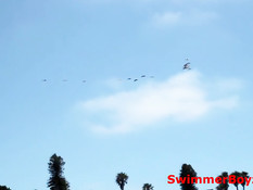 Два молодых гея целовались на пляже, а потом занимались сексом