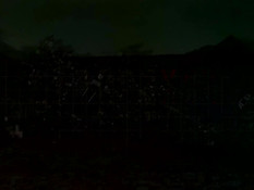 Отлизал клитор развратной сестре Lily LaBeau и оттрахал в киску