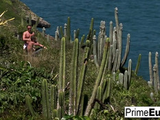 Парни отымели на пляже на тропическом острове девку Nessa Devil