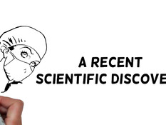 Лысый мужик вылизал анус девушке Amirah Adara и засадил член