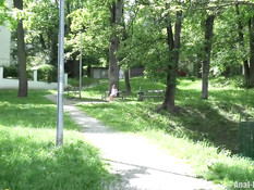 Он привёл домой и отпердолил в попу молодую русскую блондинку