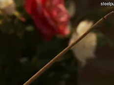 Заключённая Asa Akira подверглась порке плетью и жёсткому сексу