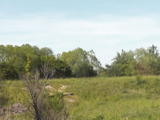 Девка в солнцезащитных очках раздевается и мастурбирует на лугу