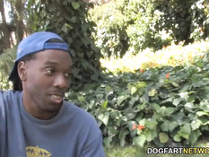 Негритянка с огромными сиськами Maserati ебётся с белыми парнями