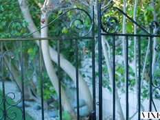 Солидный белый мужчина оттрахал двух сладких шоколадных подруг